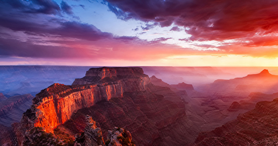 Потолочная экзотика фотообоев