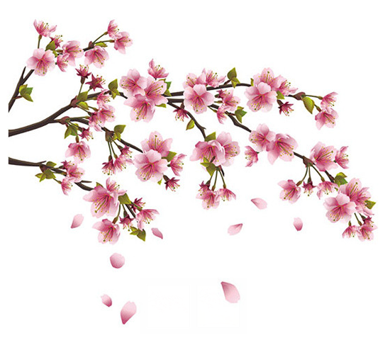 Наклейка на однотонный потолок или стены в «женском» дизайне