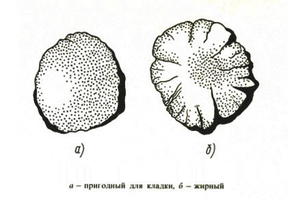 Схема образцов бетонного раствора