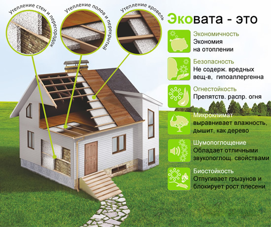 Преимущества эковаты