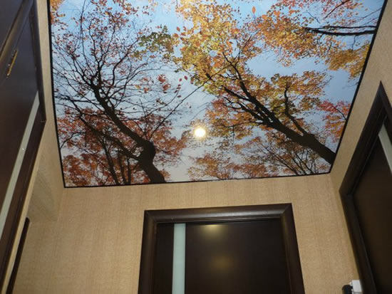 Изображение «осенний лес» на натяжном потолке в прихожей