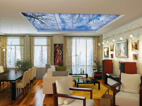 Матовый потолок с фотопечатью