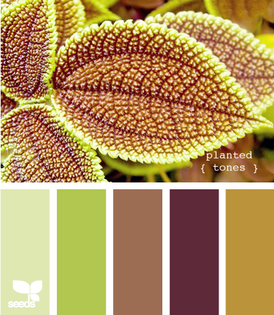 натяжные потолки выбор цвета