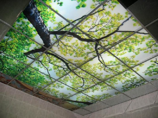 Стекло с фотографическим изображением