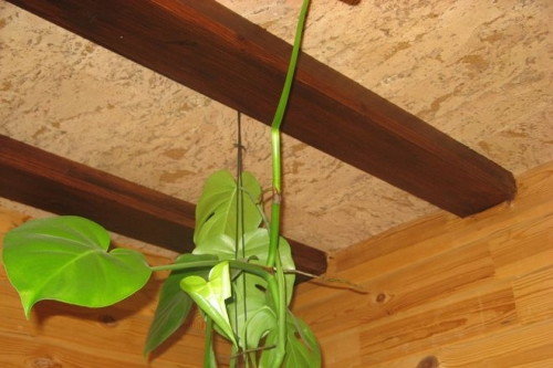 Пробковое утепление потолка